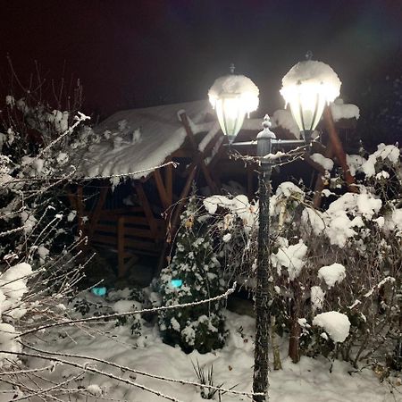 Міні Готель Вілла Вікторія Berehove  Bagian luar foto