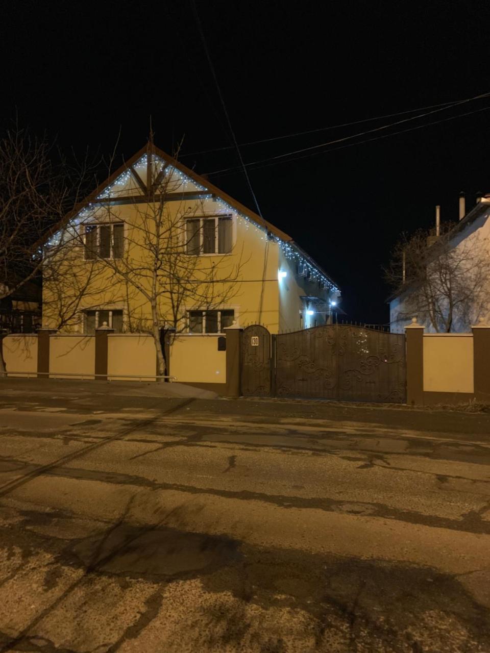 Міні Готель Вілла Вікторія Berehove  Bagian luar foto