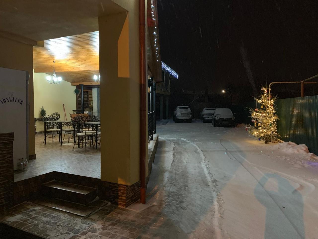 Міні Готель Вілла Вікторія Berehove  Bagian luar foto